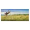 Stupell Industries Buck Deer in Field Canvas Wall Art Design by Chris Vest